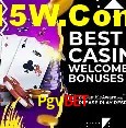 Segurança e performance na plataforma Pgvbet